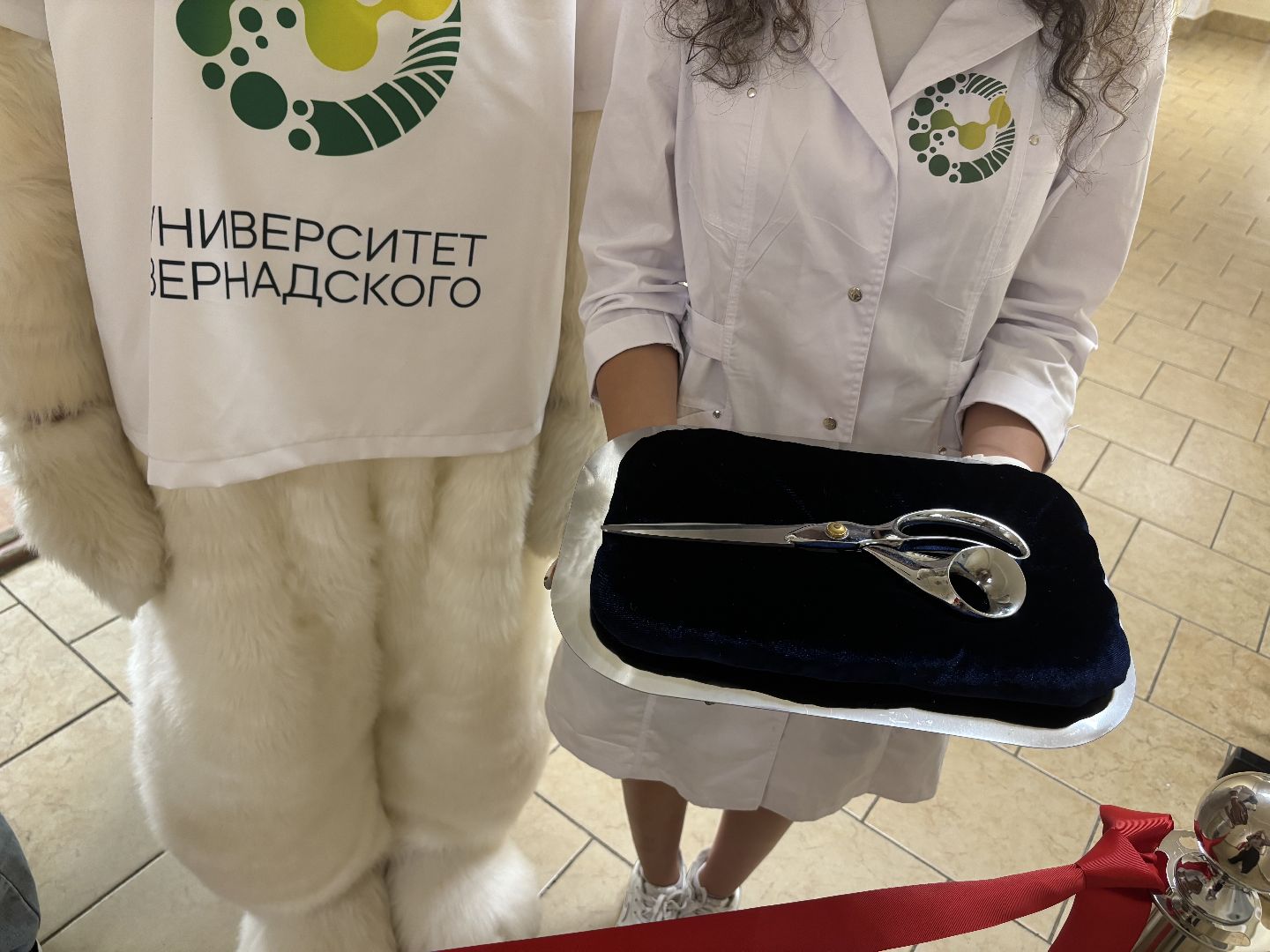 сестринское дело, колледж, здравоохранение,