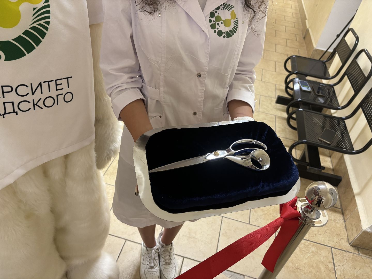 сестринское дело, колледж, здравоохранение,