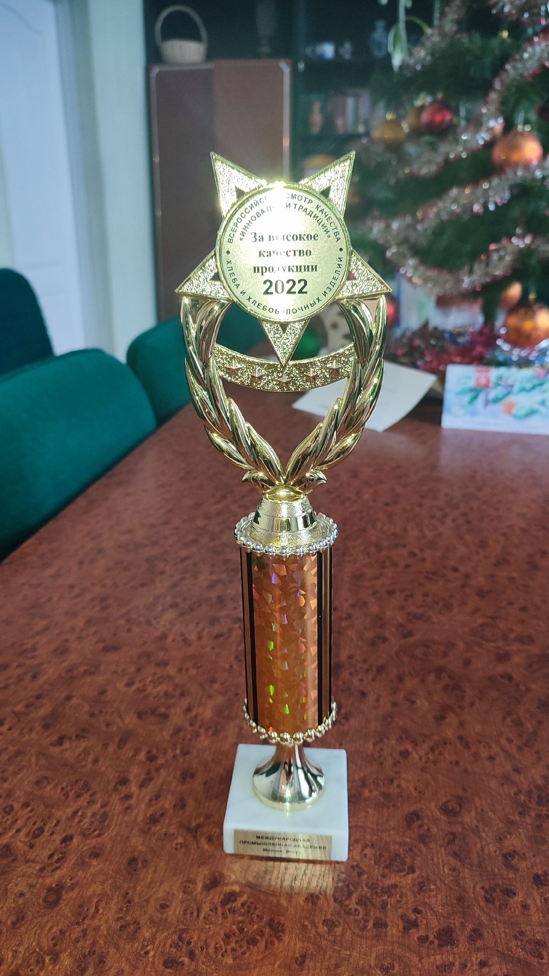 Кашира, общество