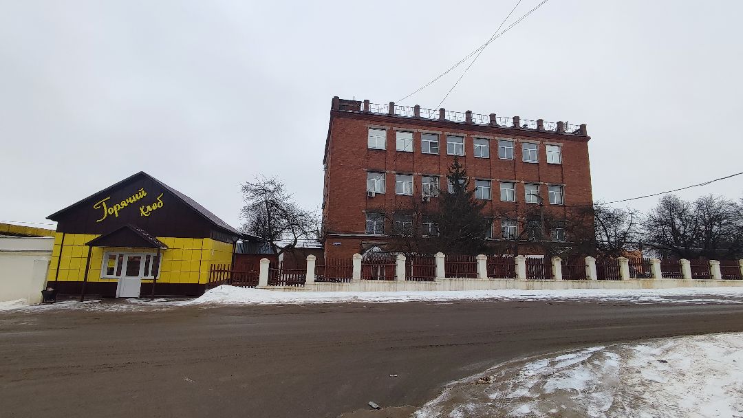 Кашира, общество