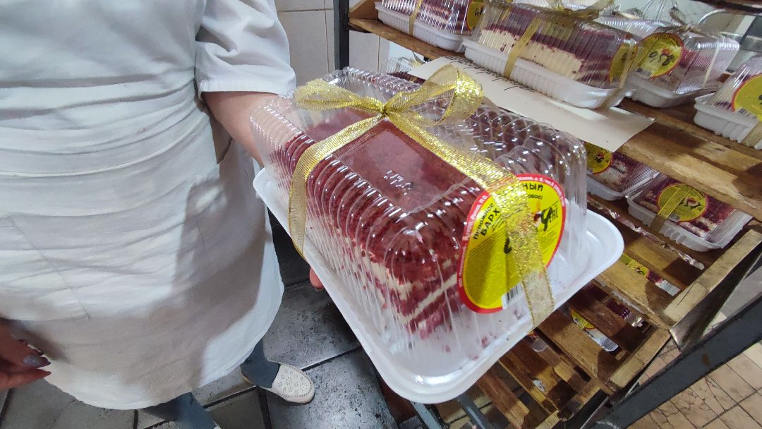 Кашира, общество