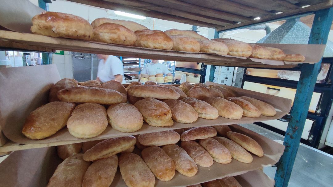 Кашира, общество