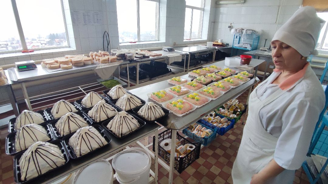 Кашира, общество