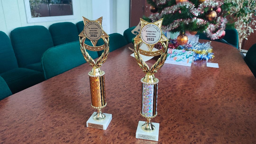 Кашира, общество