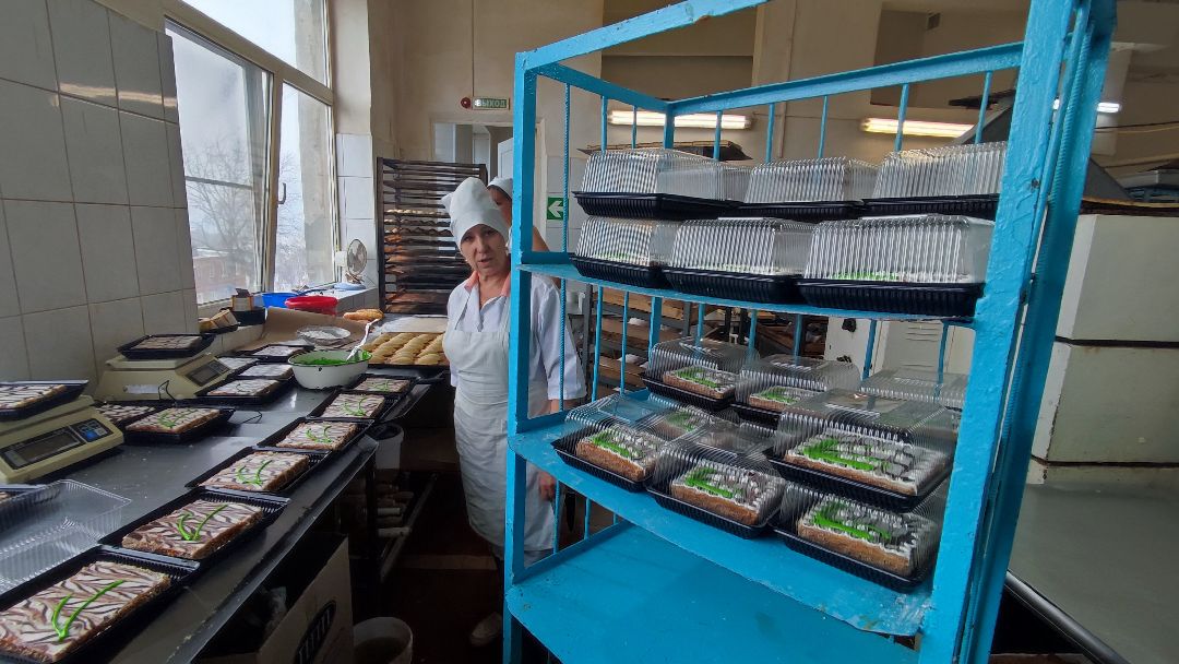 Кашира, общество