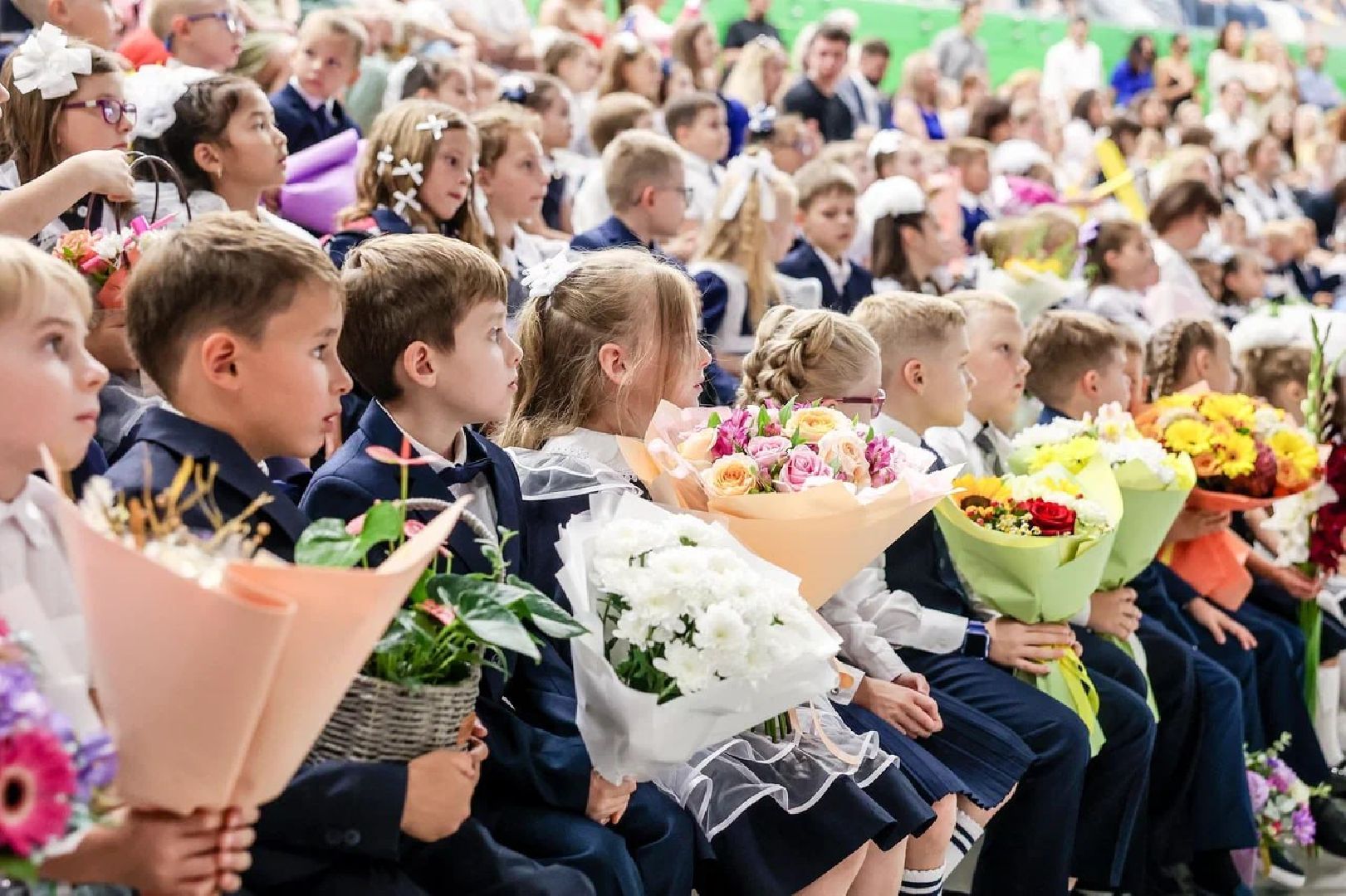 красногорск, 1 сентября 2024, отрада,