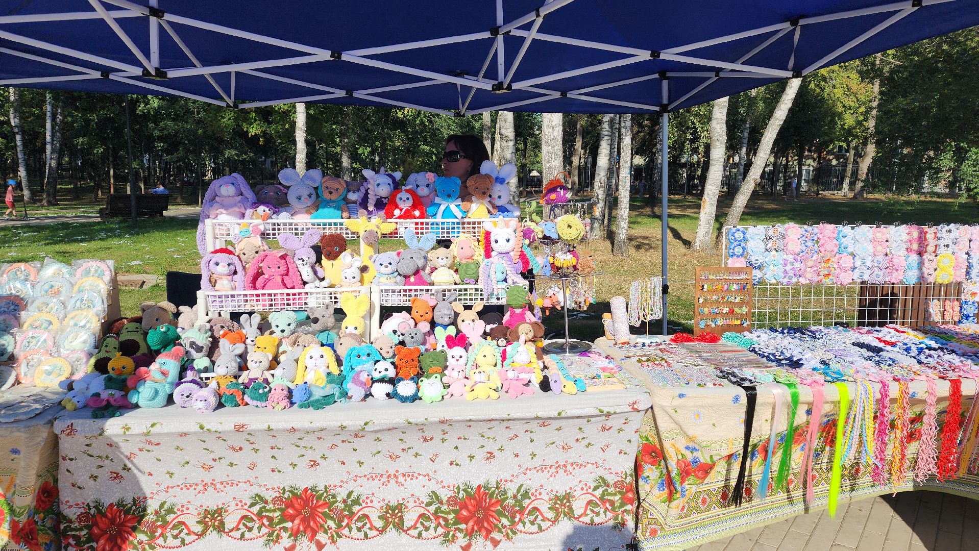 пушкино, многодетные, день знаний, мастер класс, центральный парк,