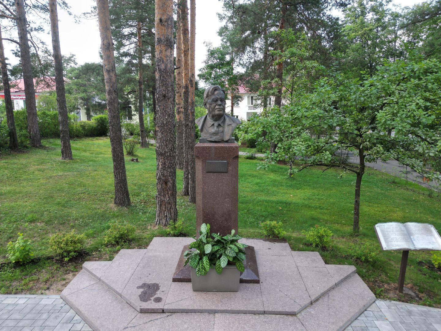 видео с коптера, дубна, институт,