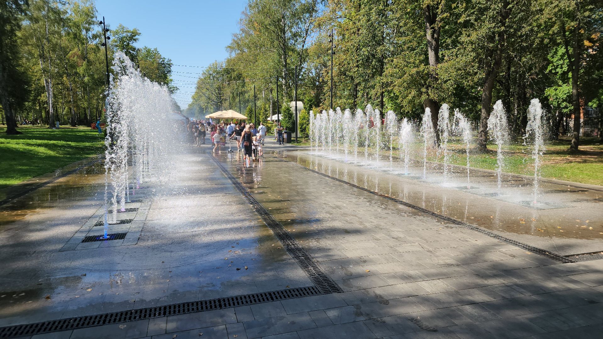 ступино, образование подмосковья, день знаний,