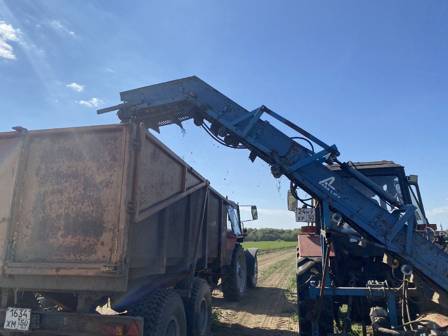 Коломна, сельское хозяйство, уборочная кампания, морковь,