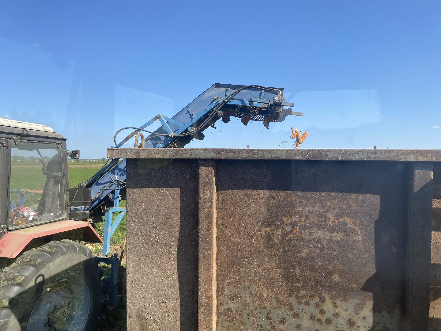 Коломна, сельское хозяйство, уборочная кампания, морковь,