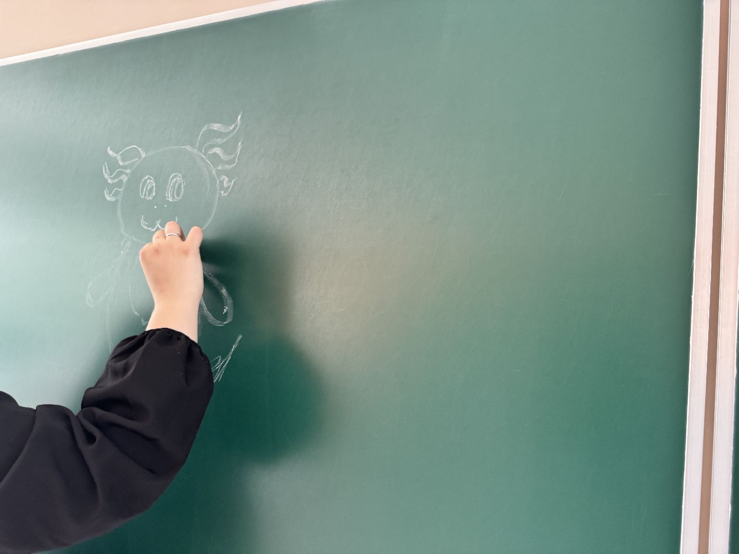 шаховская, учитель изо, образование, молодой педагог, молодой учитель,