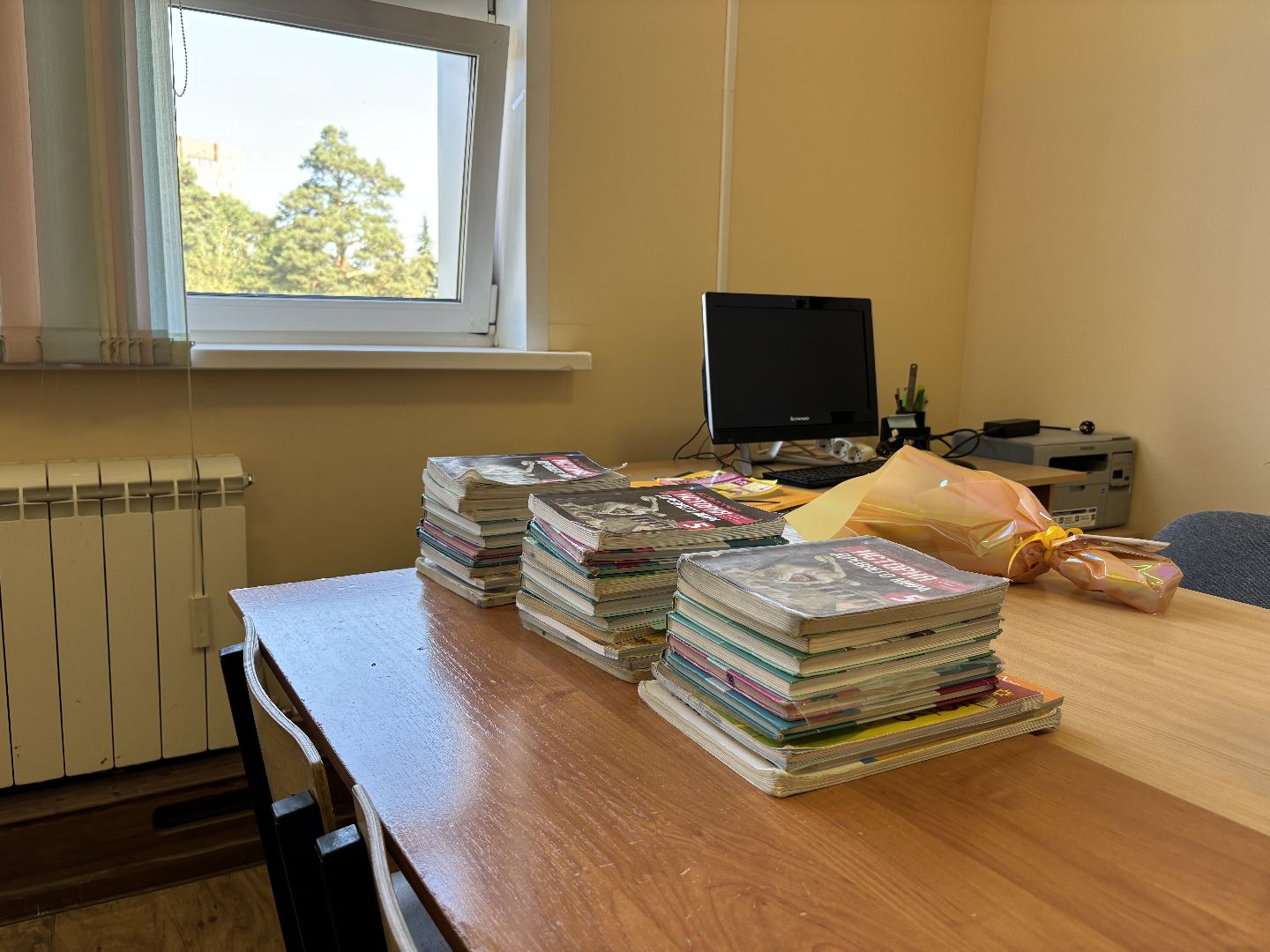 молодой педагог, литература, русский язык и литература, школа 8,