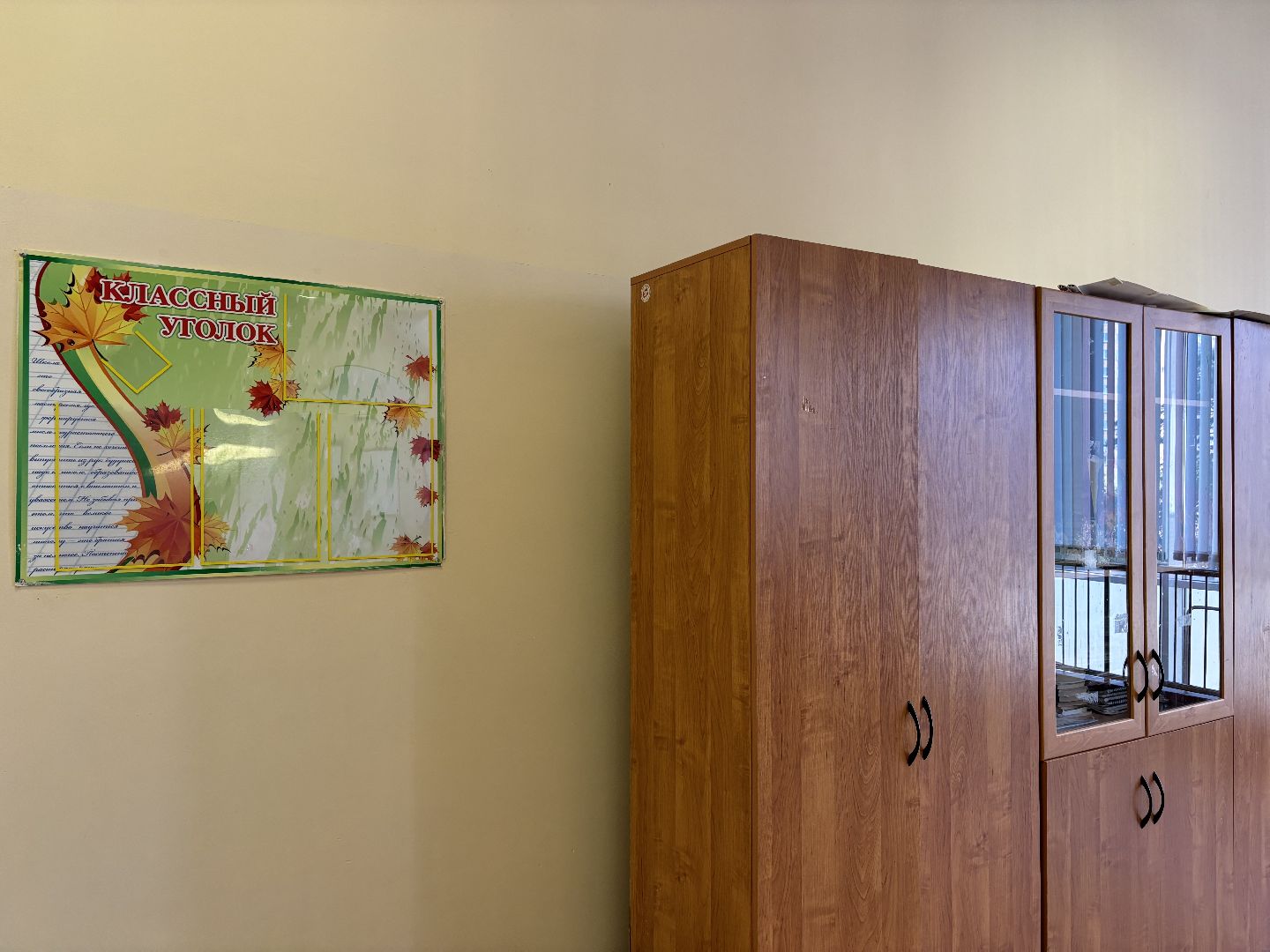 молодой педагог, литература, русский язык и литература, школа 8,