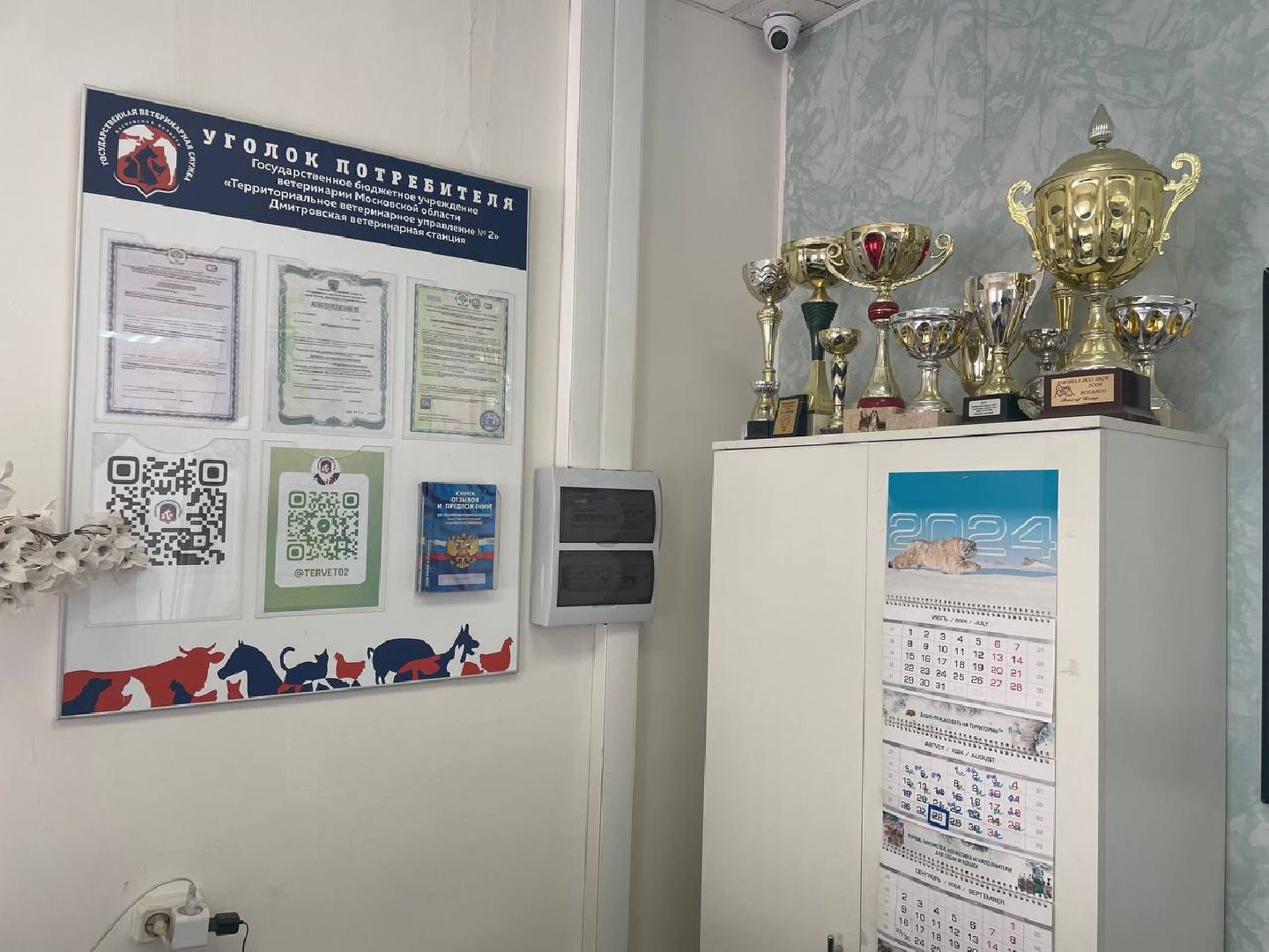 Дмитров, Госветстанция, Минсельхоз,