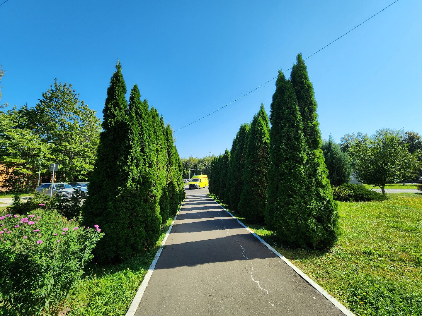 роддом, видновский перинатальный центр, впц видное, родильный дом, новорожденные дети,ленинский округ,