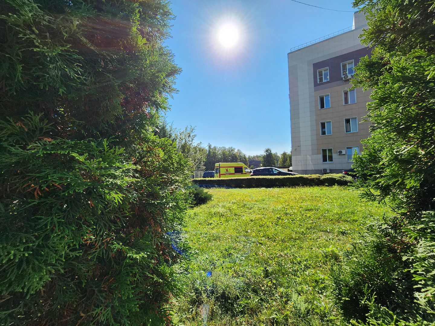 роддом, видновский перинатальный центр, впц видное, родильный дом, новорожденные дети,ленинский округ,