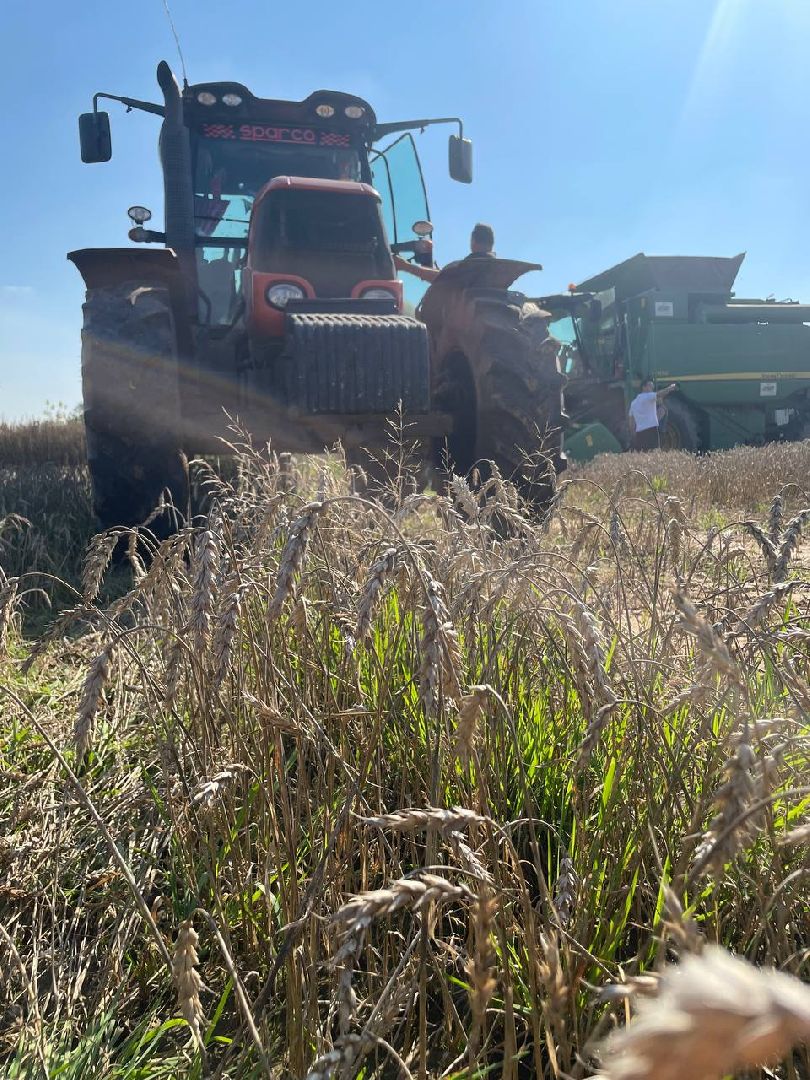 Дмитров, Мосагрофуд, Минсельхоз,