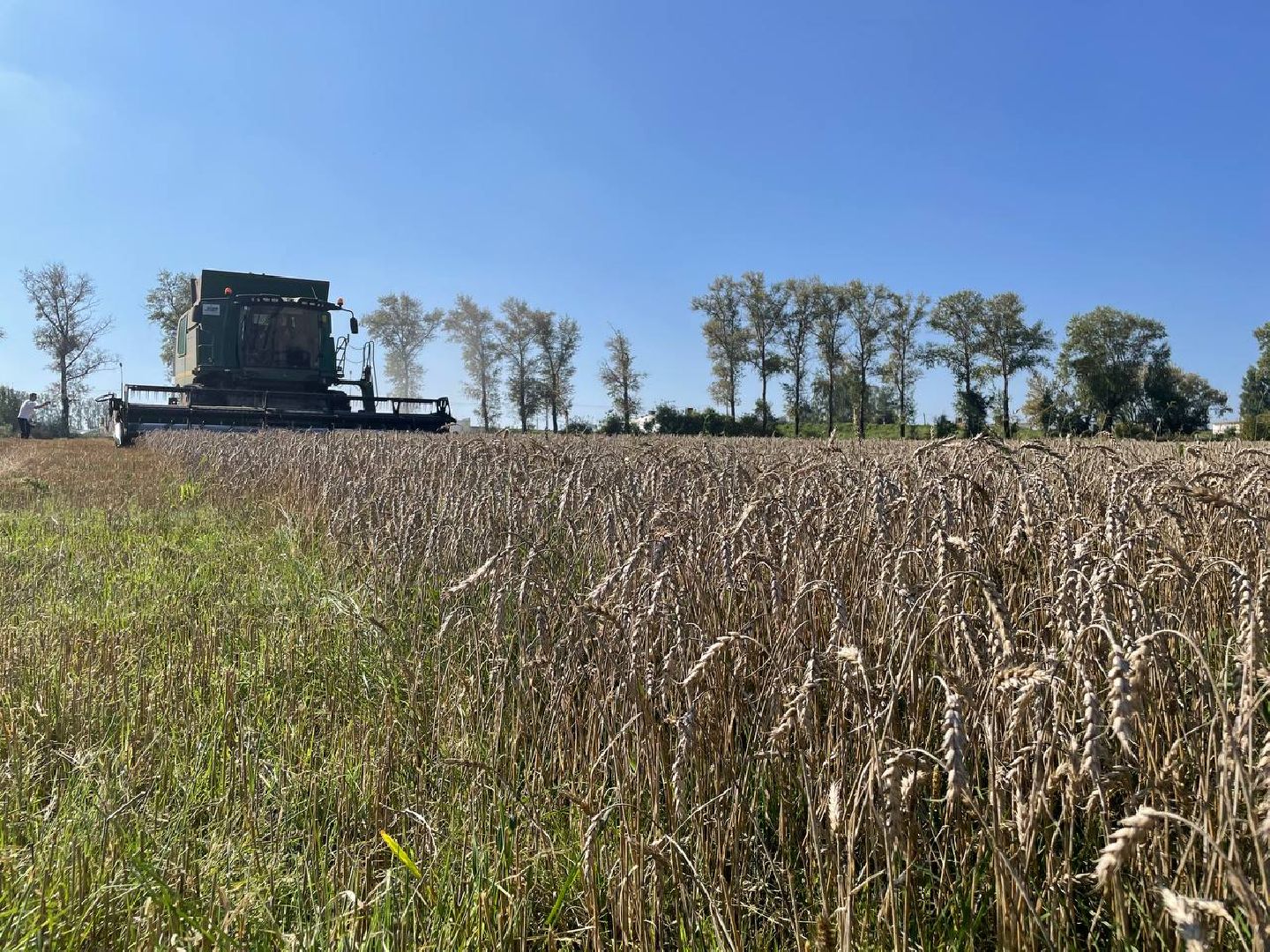 Дмитров, Мосагрофуд, Минсельхоз,