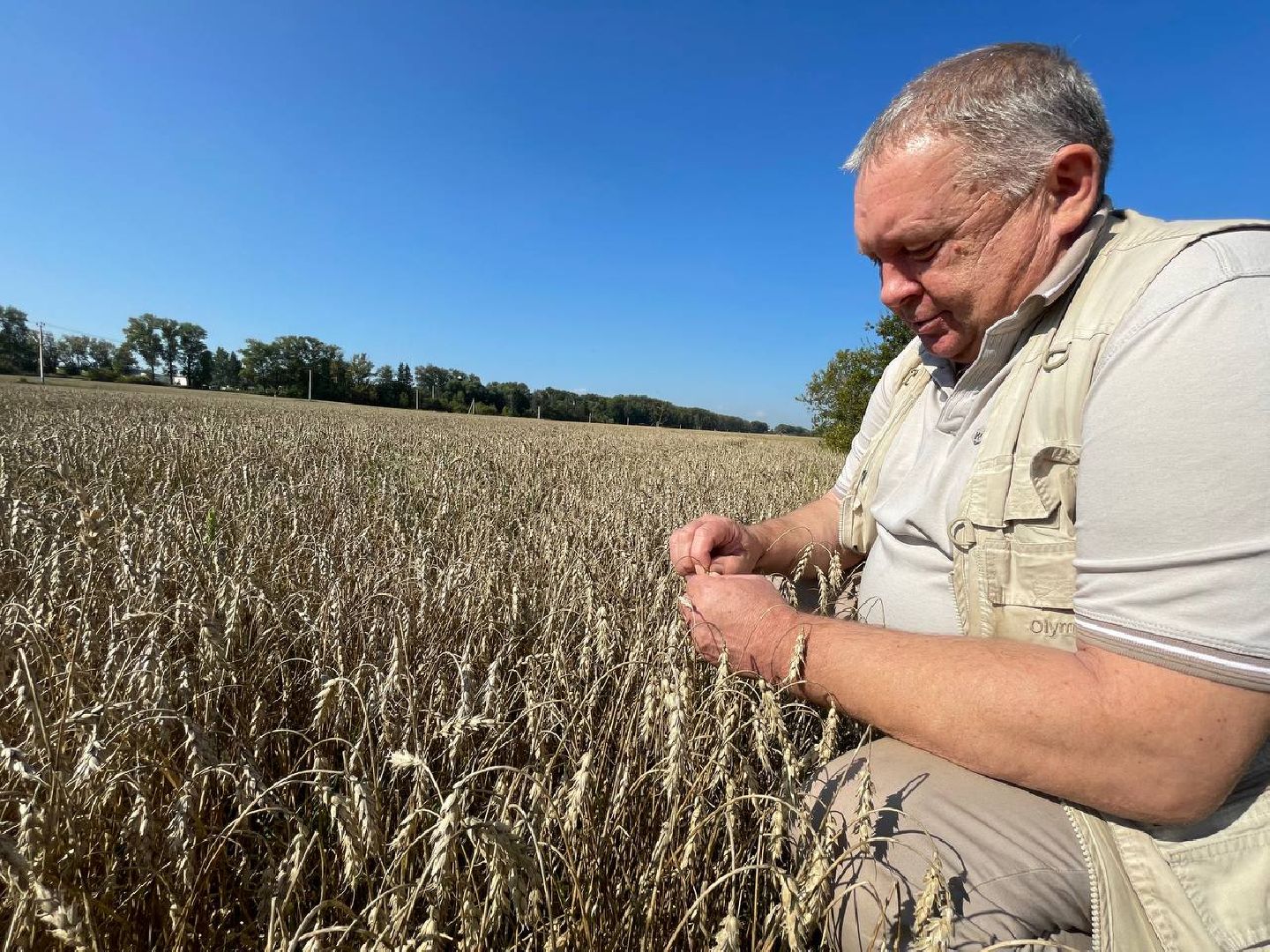 Дмитров, Мосагрофуд, Минсельхоз,
