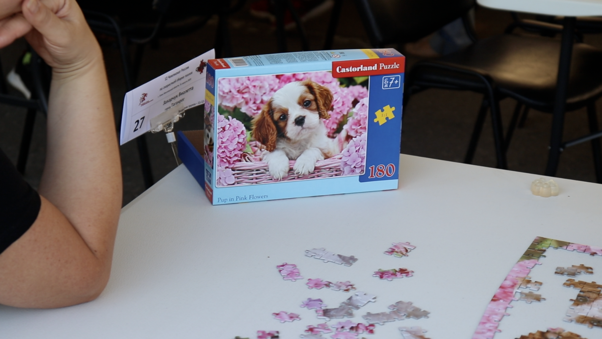 Клин, общество, спорт, пазлы, Чемпионат России по скоростной сборке пазлов, дети, Подмосковье,