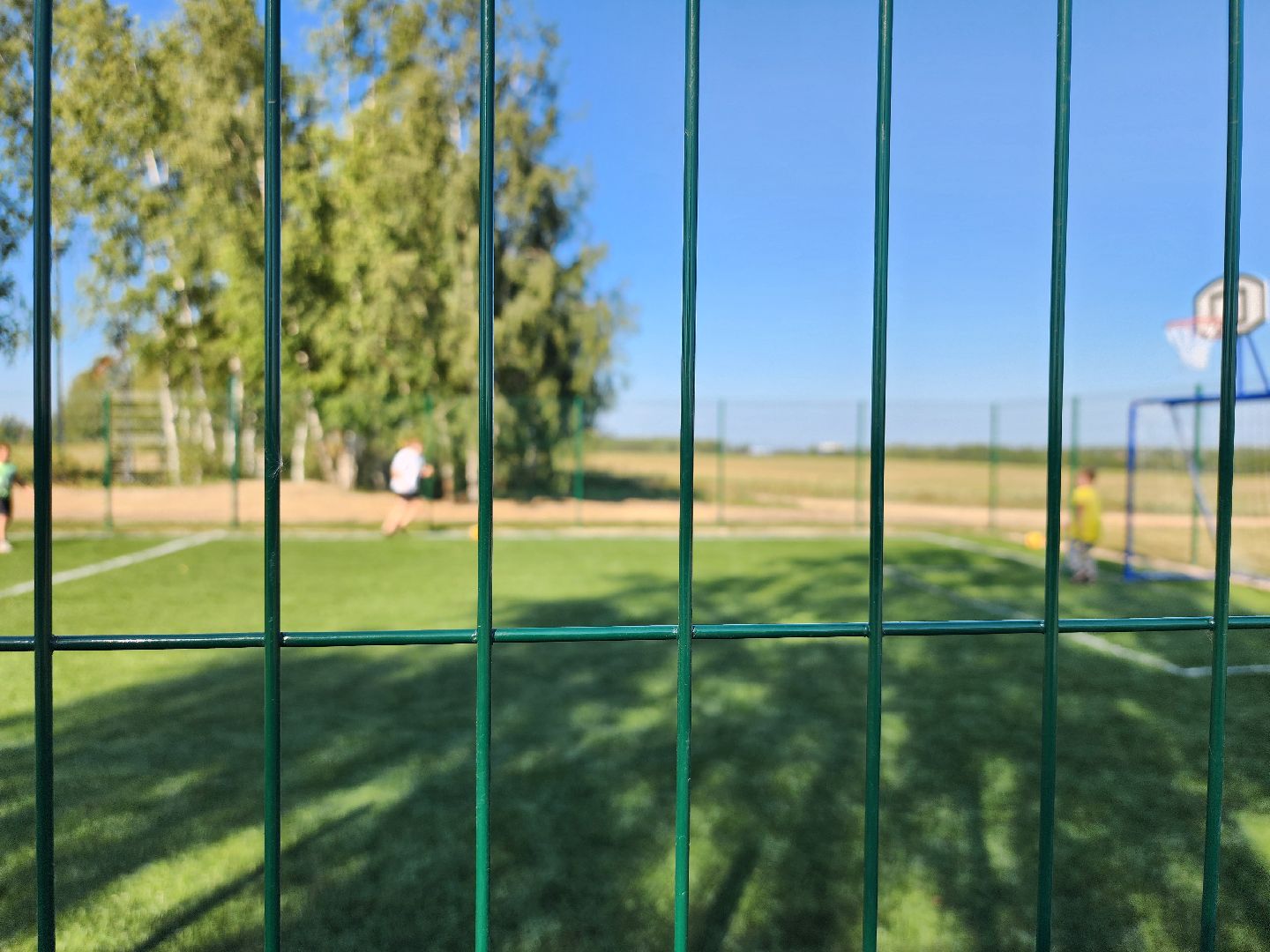 спортивно-игровая площадка, детская площадка, дети, Шульгино, Богородский городской округ,