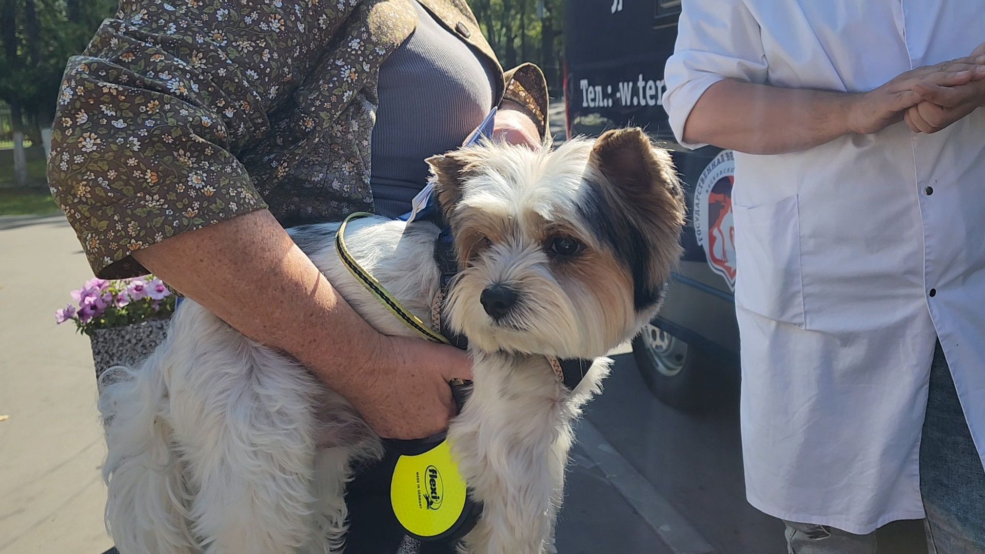 ступино, чипирование домашних животных, мобильный ветеринарный офис,