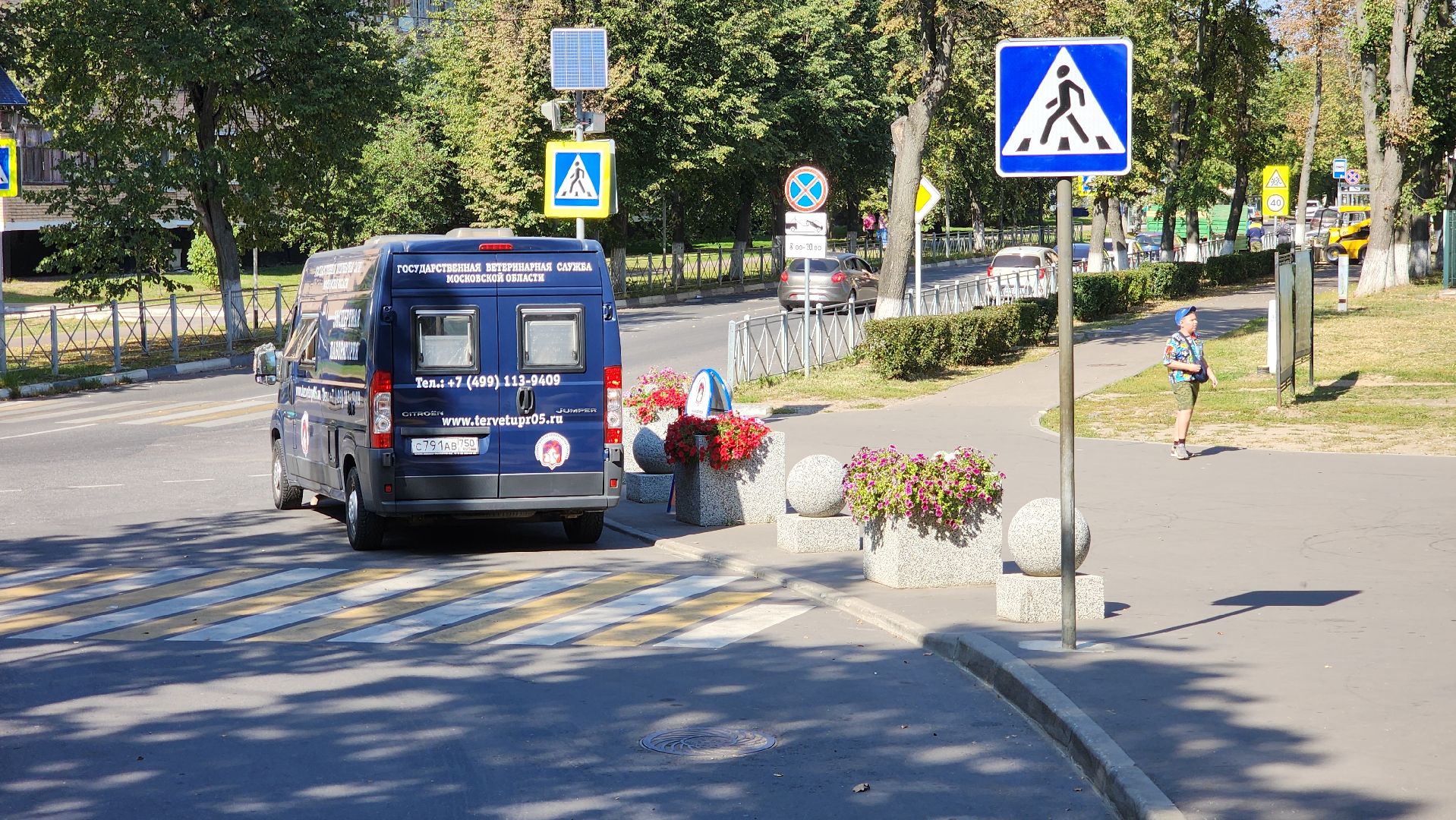 ступино, чипирование домашних животных, мобильный ветеринарный офис,