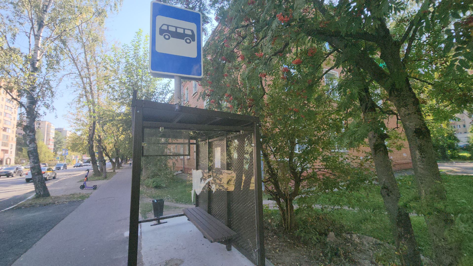 транспорт, автобус, долгопрудный,