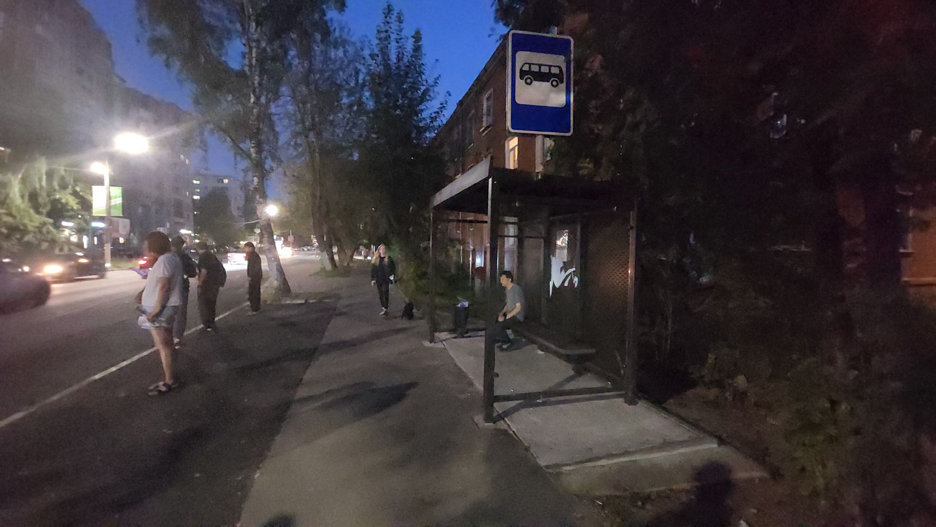 транспорт, автобус, долгопрудный,