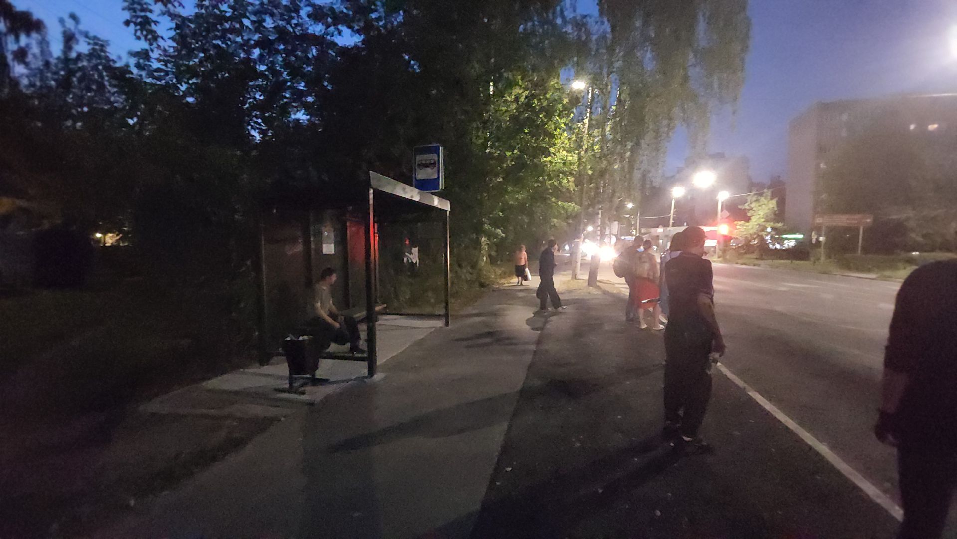 транспорт, автобус, долгопрудный,