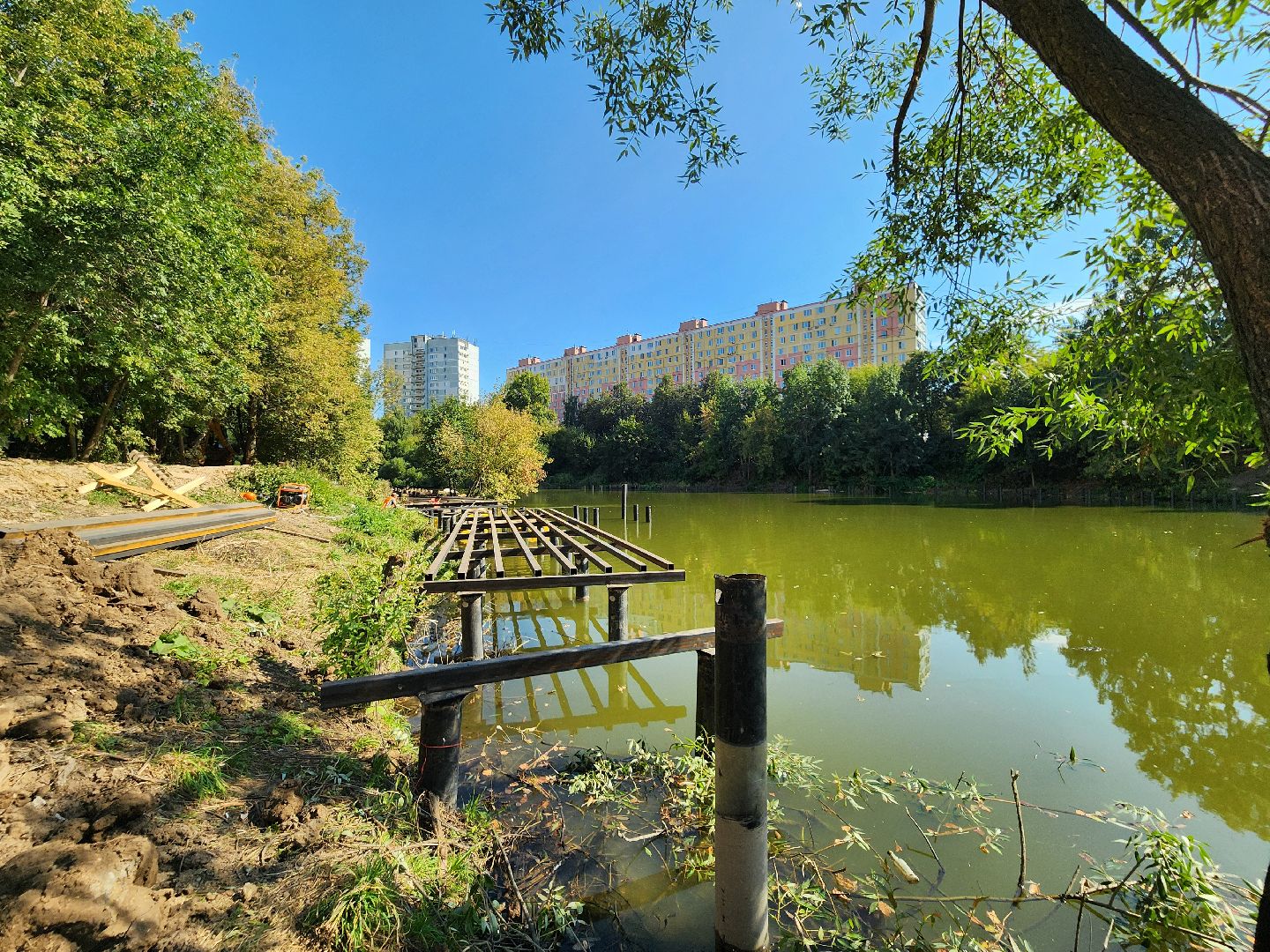 благоустройство, малый тарычевский пруд, набережная тарычевского пруда, видное, ленинский округ,благоустройство набережной, брусника, зеленые аллеи,