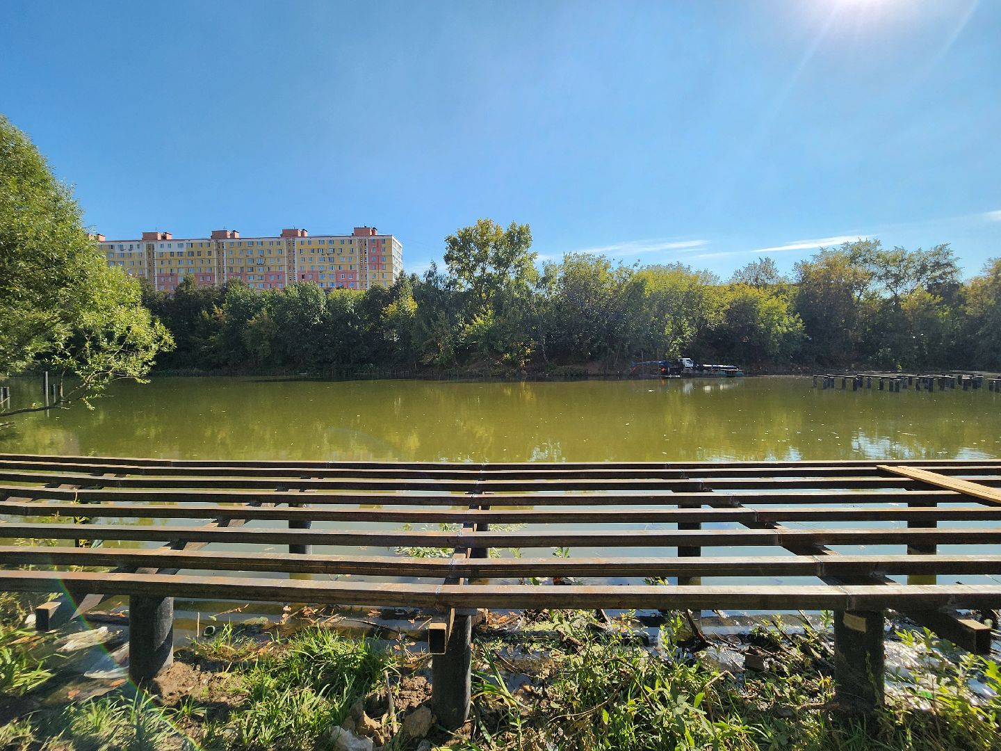 благоустройство, малый тарычевский пруд, набережная тарычевского пруда, видное, ленинский округ,благоустройство набережной, брусника, зеленые аллеи,