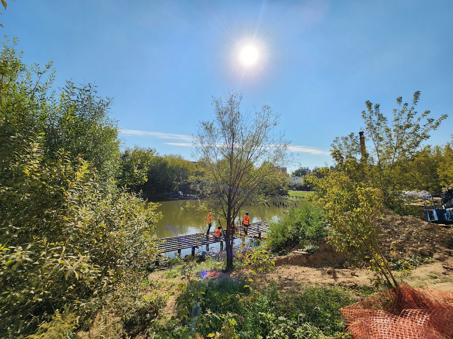благоустройство, малый тарычевский пруд, набережная тарычевского пруда, видное, ленинский округ,благоустройство набережной, брусника, зеленые аллеи,
