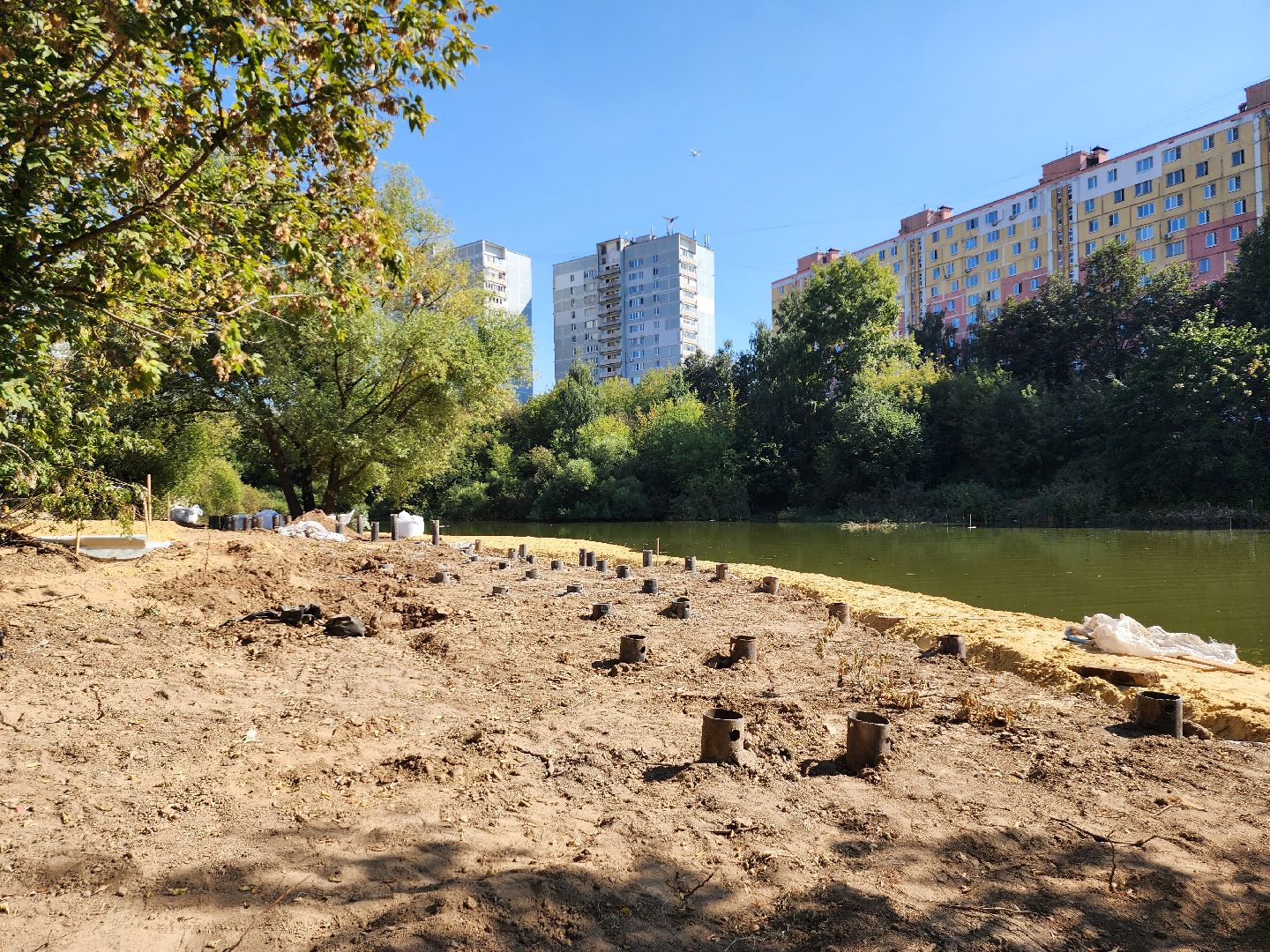 благоустройство, малый тарычевский пруд, набережная тарычевского пруда, видное, ленинский округ,благоустройство набережной, брусника, зеленые аллеи,