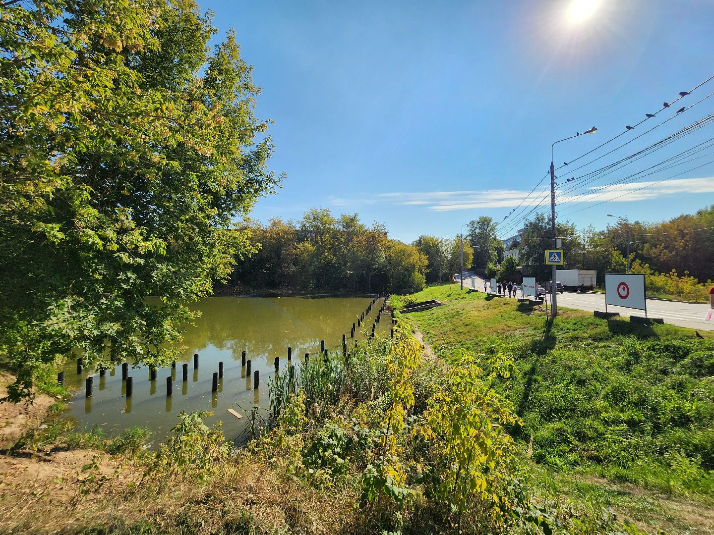 благоустройство, малый тарычевский пруд, набережная тарычевского пруда, видное, ленинский округ,благоустройство набережной, брусника, зеленые аллеи,