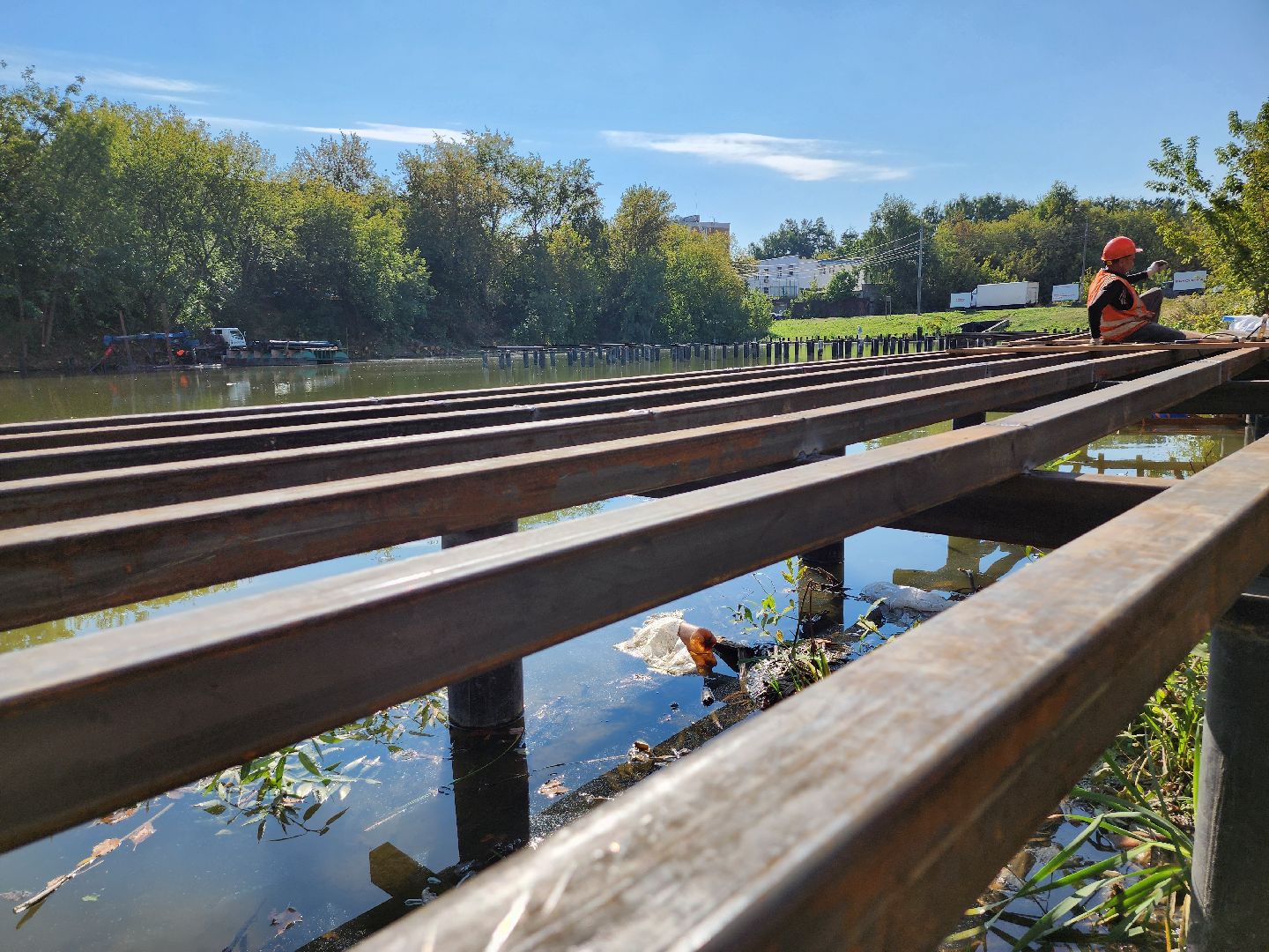благоустройство, малый тарычевский пруд, набережная тарычевского пруда, видное, ленинский округ,благоустройство набережной, брусника, зеленые аллеи,