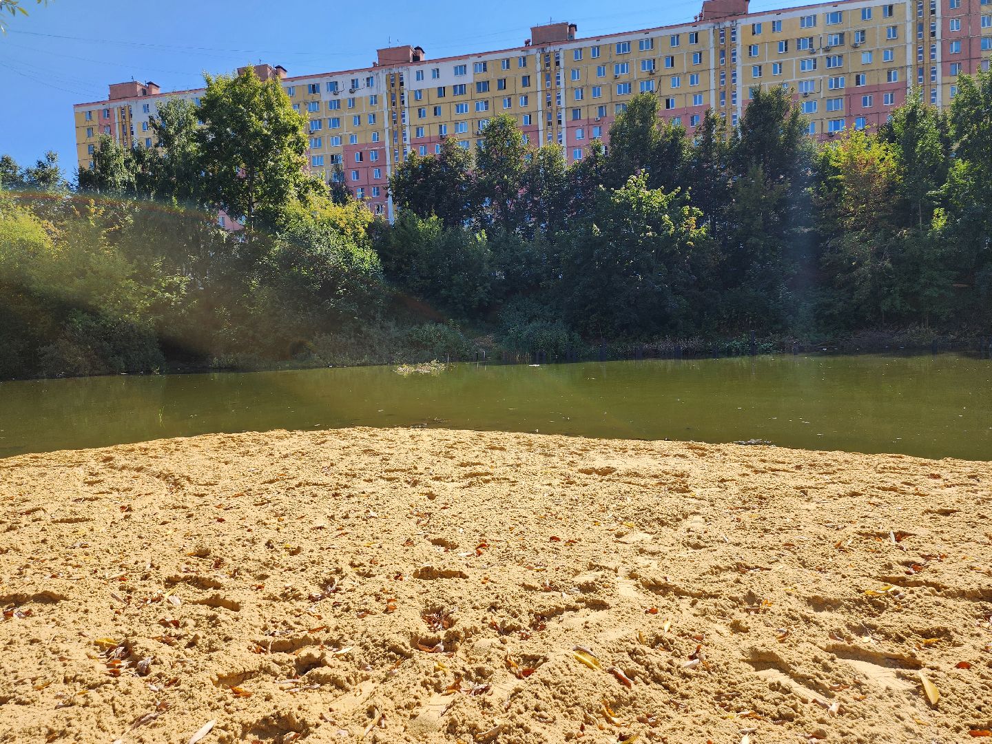 благоустройство, малый тарычевский пруд, набережная тарычевского пруда, видное, ленинский округ,благоустройство набережной, брусника, зеленые аллеи,