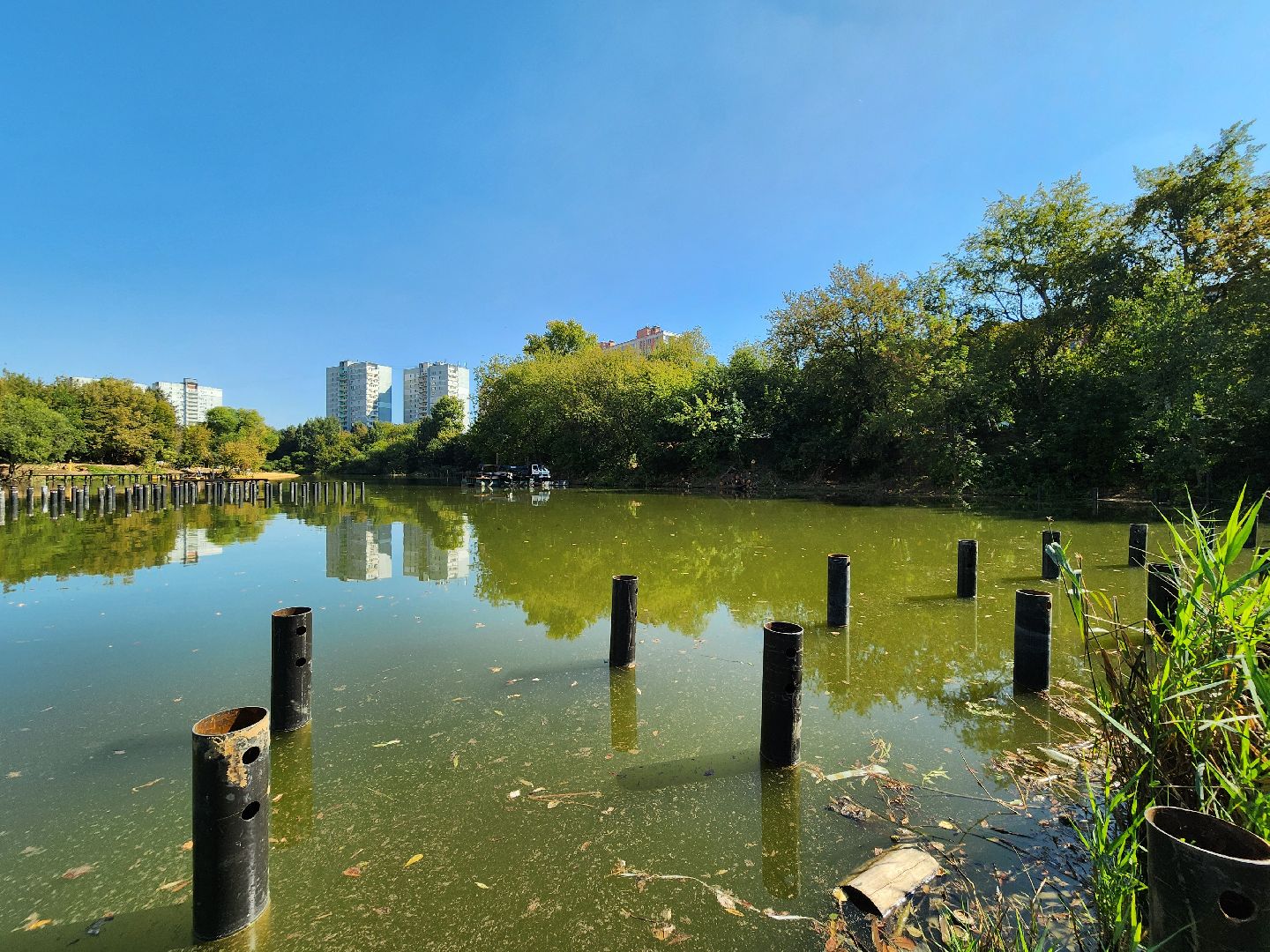 благоустройство, малый тарычевский пруд, набережная тарычевского пруда, видное, ленинский округ,благоустройство набережной, брусника, зеленые аллеи,
