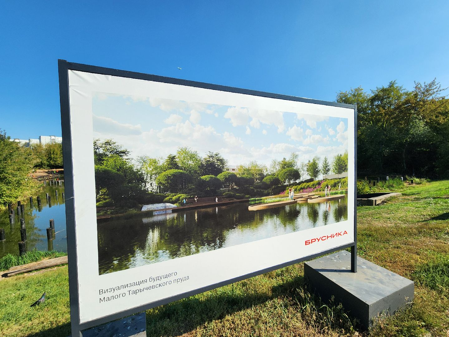 благоустройство, малый тарычевский пруд, набережная тарычевского пруда, видное, ленинский округ,благоустройство набережной, брусника, зеленые аллеи,