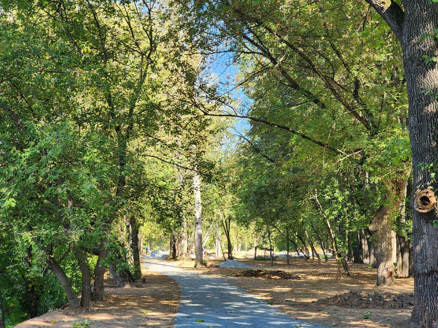 Подольск, Благоустройство, формирование комфортной городской среды, парки подмосковья,