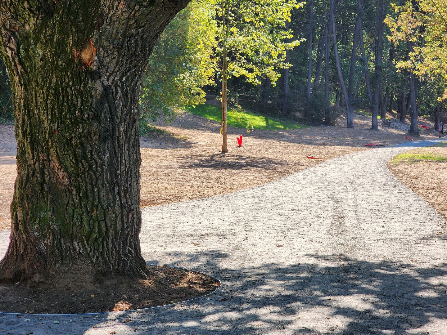 Подольск, Благоустройство, формирование комфортной городской среды, парки подмосковья,