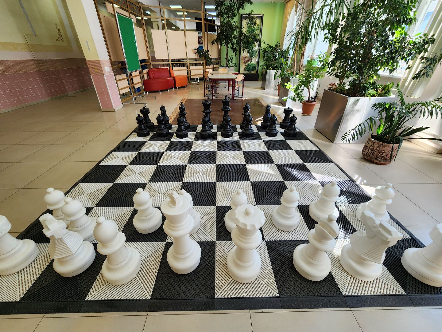 топ 100 школ подмосковья, лучшие школы московской области, видновская гимназия, ленинский округ, видное, школа, ученики и учителя, рейтинг лучших школ,