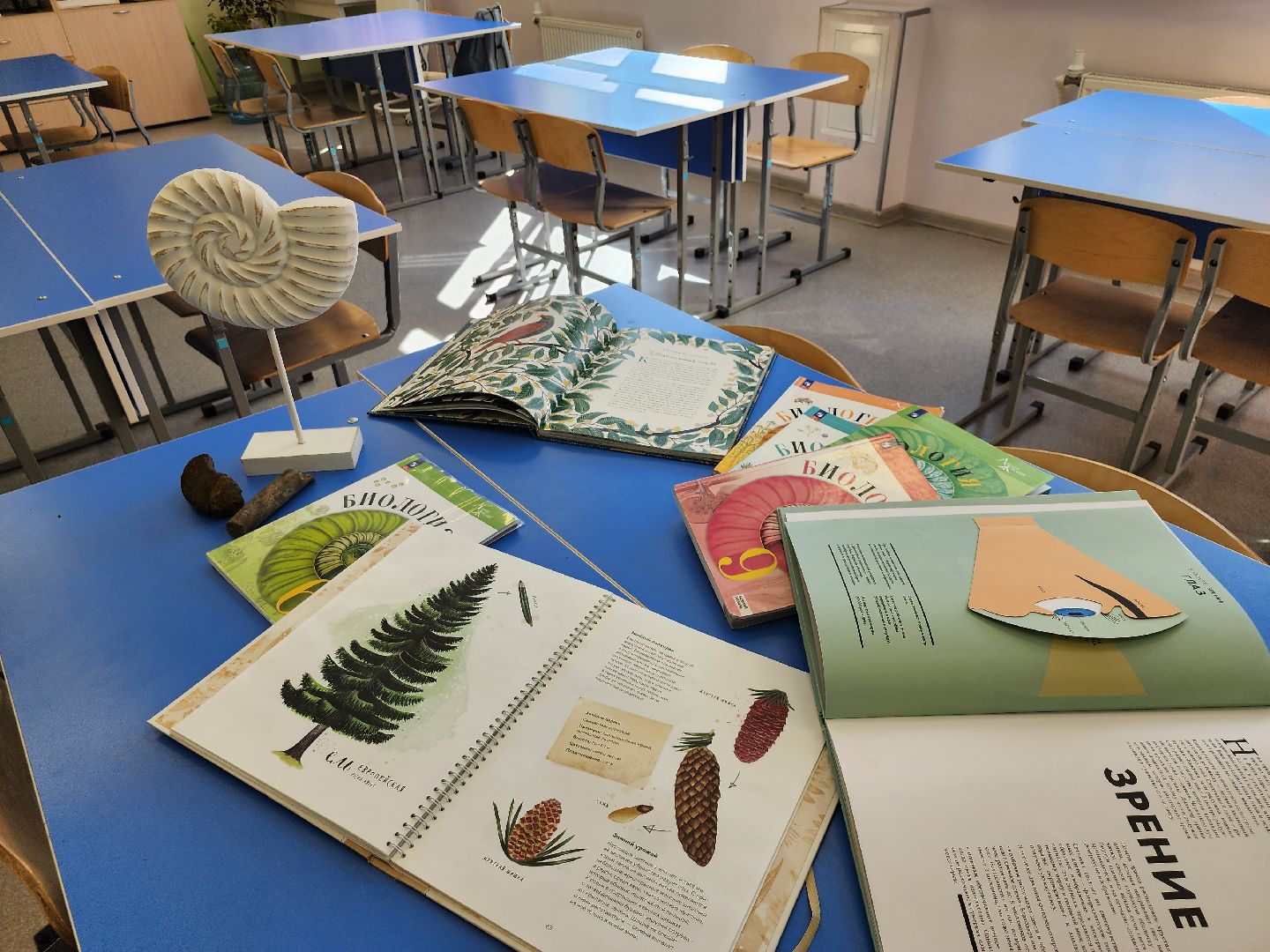 топ 100 школ подмосковья, лучшие школы московской области, видновская гимназия, ленинский округ, видное, школа, ученики и учителя, рейтинг лучших школ,