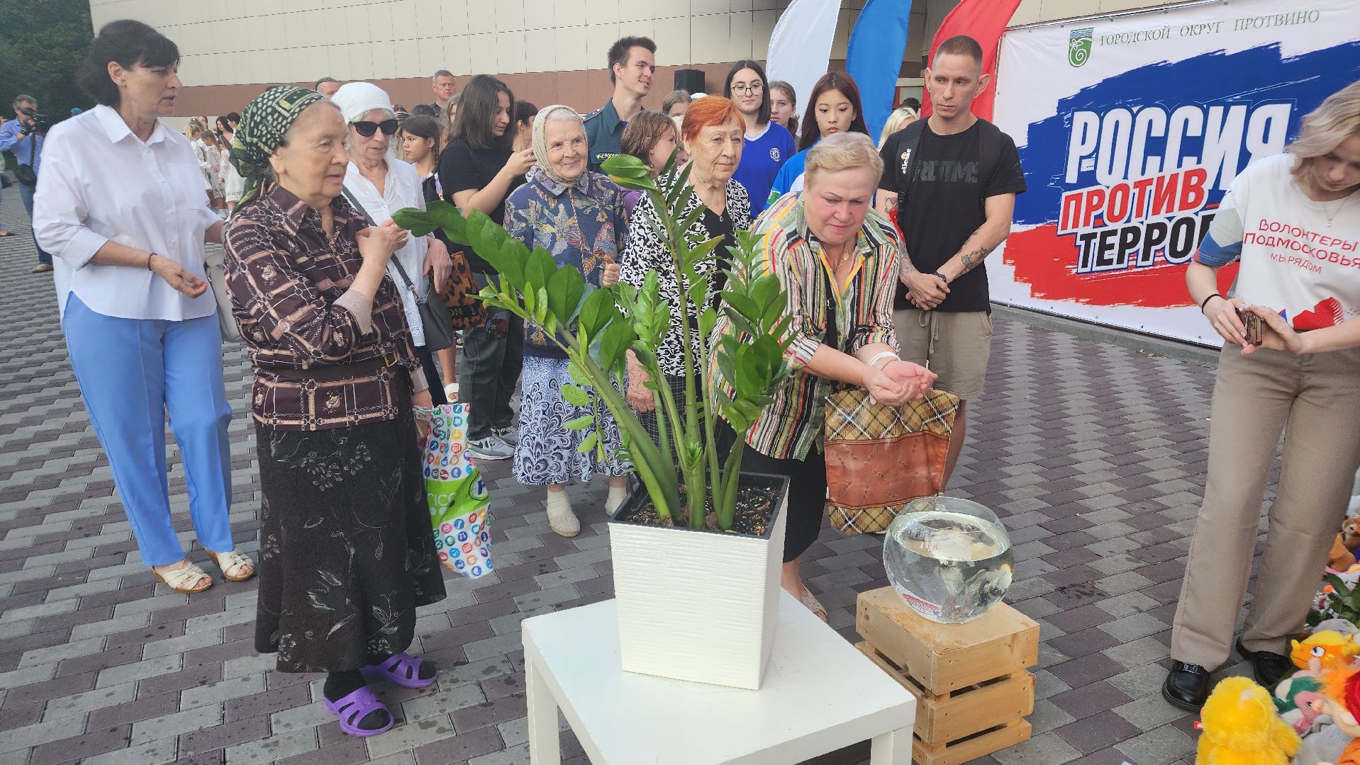 день солидарности в борьбе с терроризмом, Протвино, волонеры, Цми, Беслан,