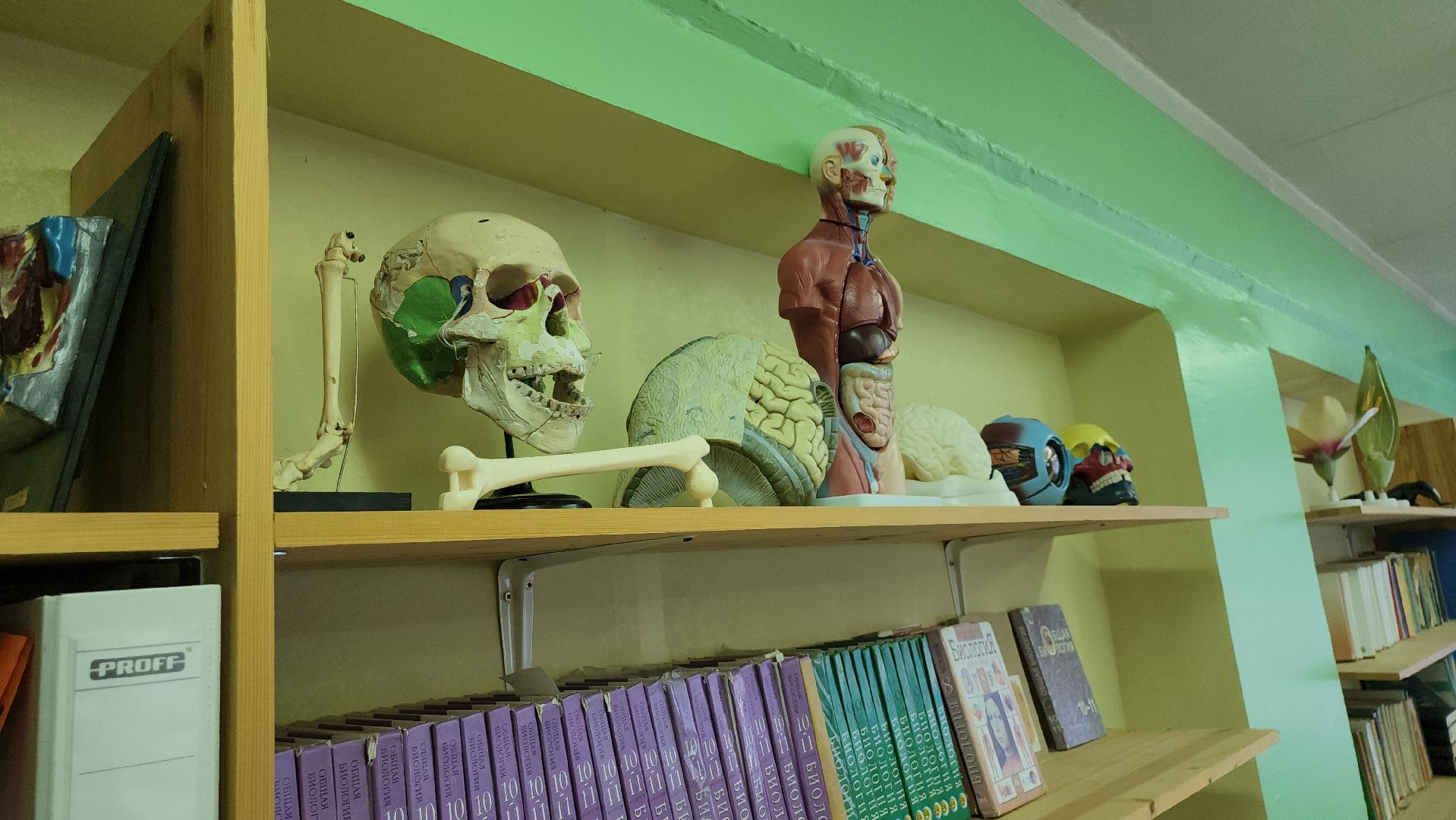 серпухов, подмосковье, топ 100 учителей подмосковья,