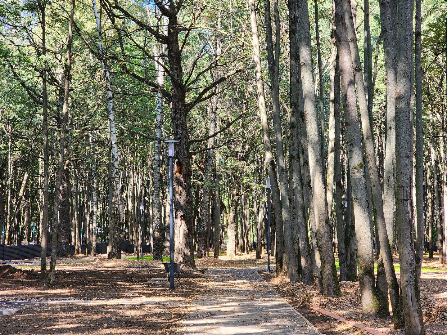 Подольск, ФДРЦ, реабилитационный центр, дети с овз, благоустройство 2024,