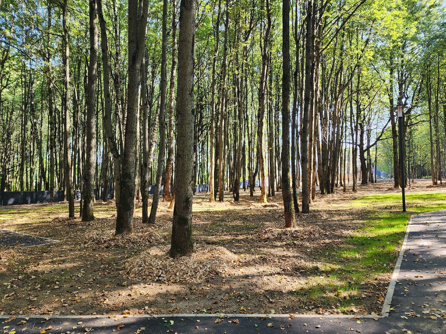 Подольск, ФДРЦ, реабилитационный центр, дети с овз, благоустройство 2024,