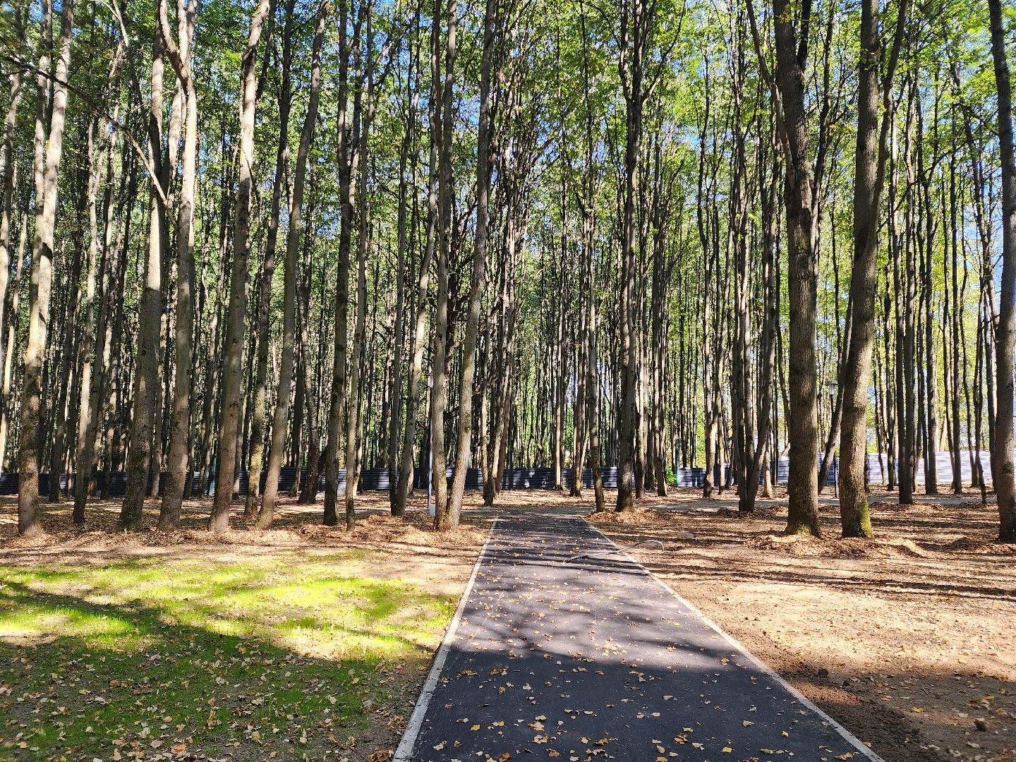 Подольск, ФДРЦ, реабилитационный центр, дети с овз, благоустройство 2024,