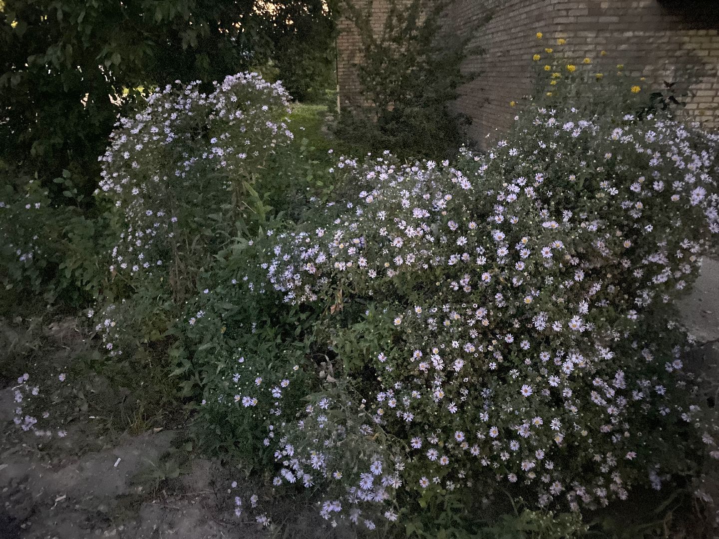 выездная, луховицы,